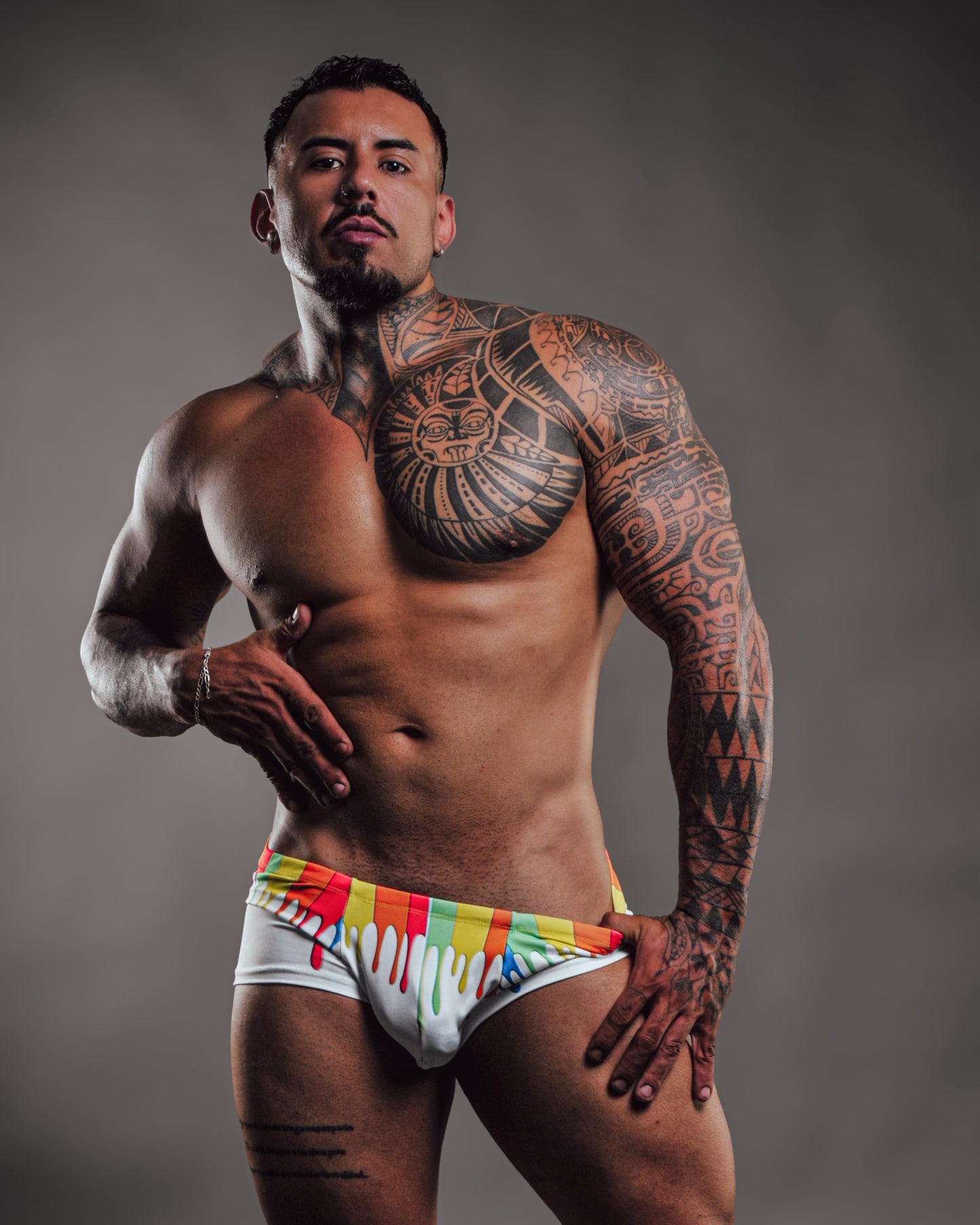 Boxer Paint Pride By PiKY
