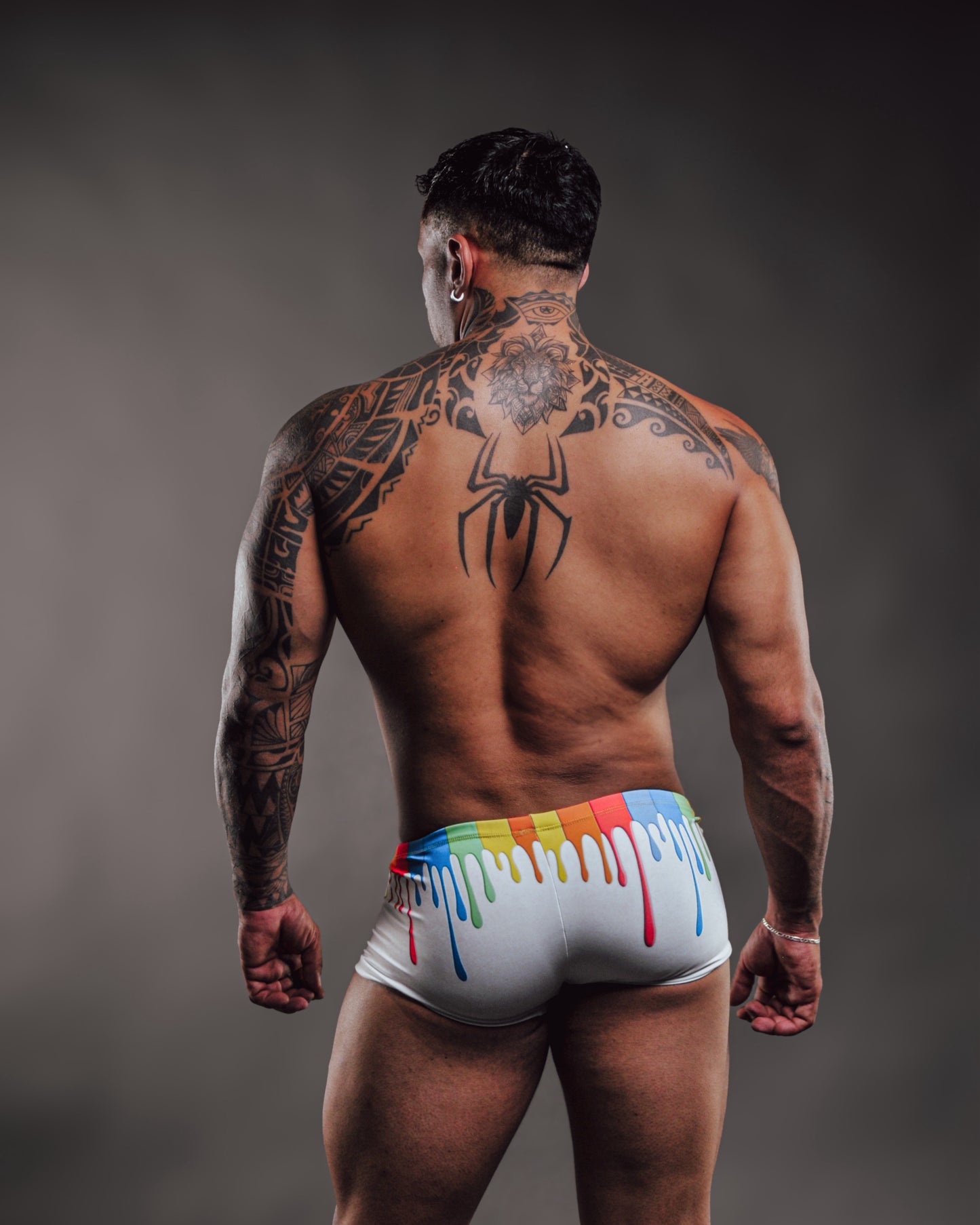 Boxer Paint Pride By PiKY