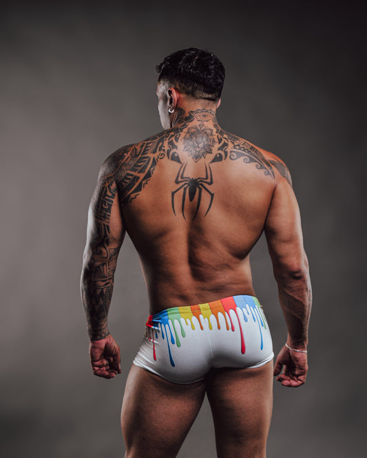 Boxer Paint Pride By PiKY